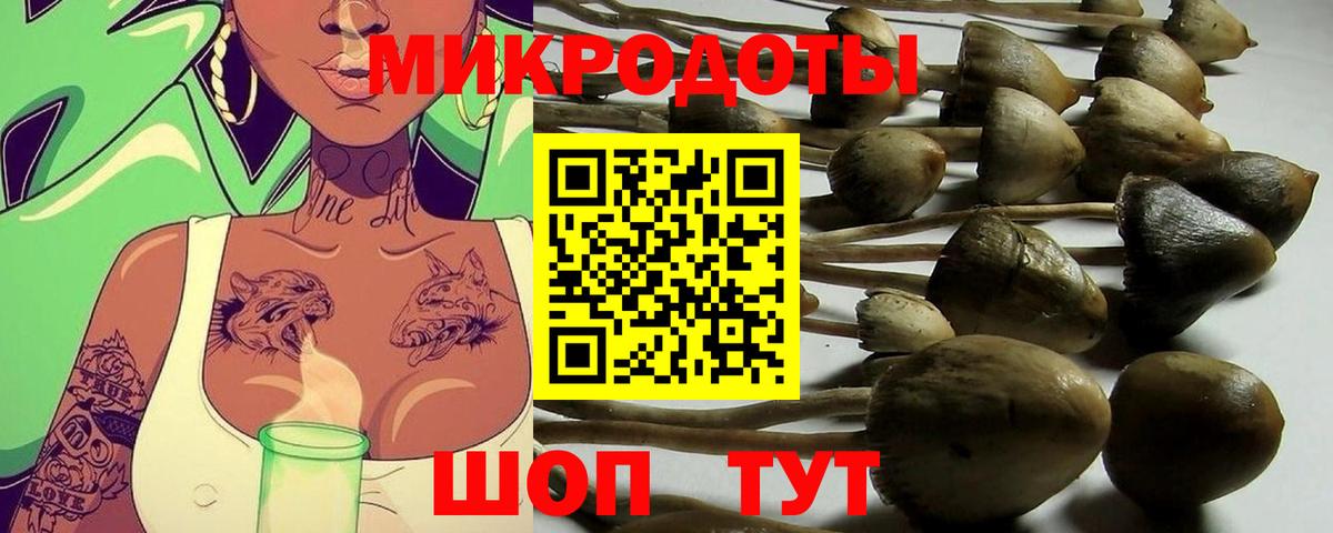 Краснознаменск  Галлюциногенные грибы Magic Shrooms  Вход с VPN 