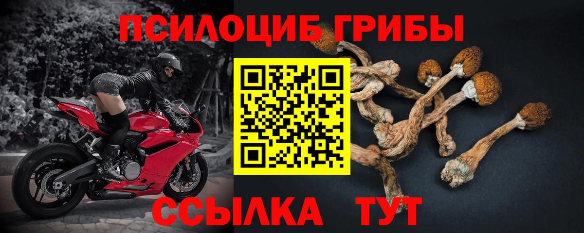 Псилоцибиновые грибы мухоморы Краснознаменск